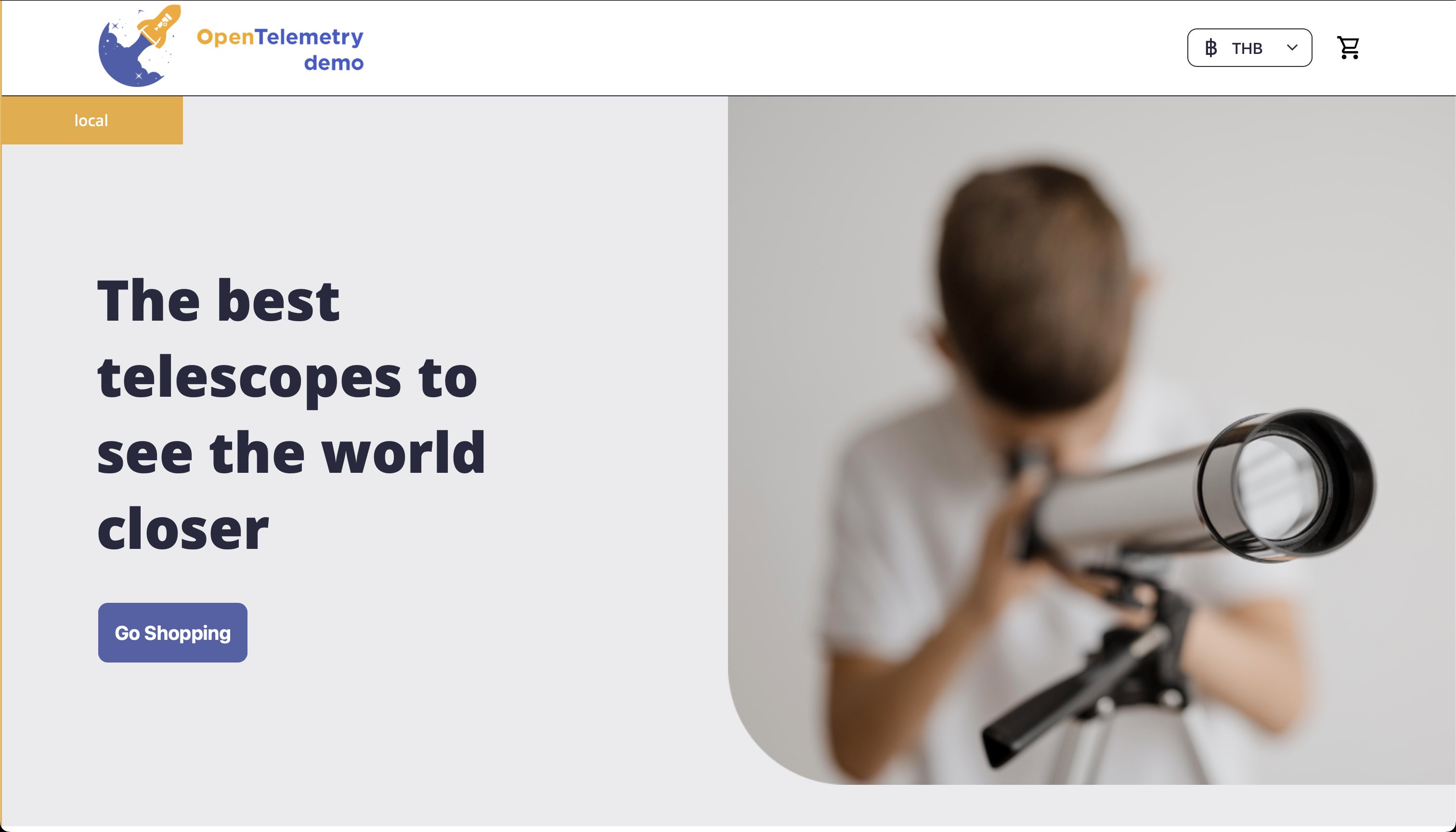 Screen capture of the Demo App Web Store UI Screen capture of the Demo App Web Store UI